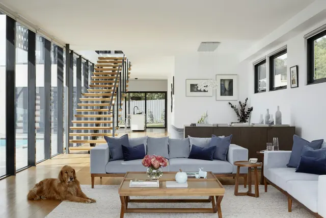 Clean, bright living room with a dog relaxing on the rug